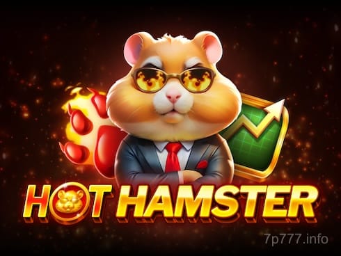 Hot Hamster Game Image