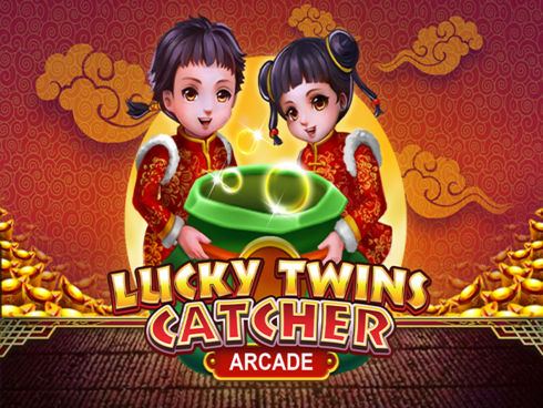 Lucky Twins Catcher Game Image