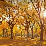 Avatar of Moazzam Hanif